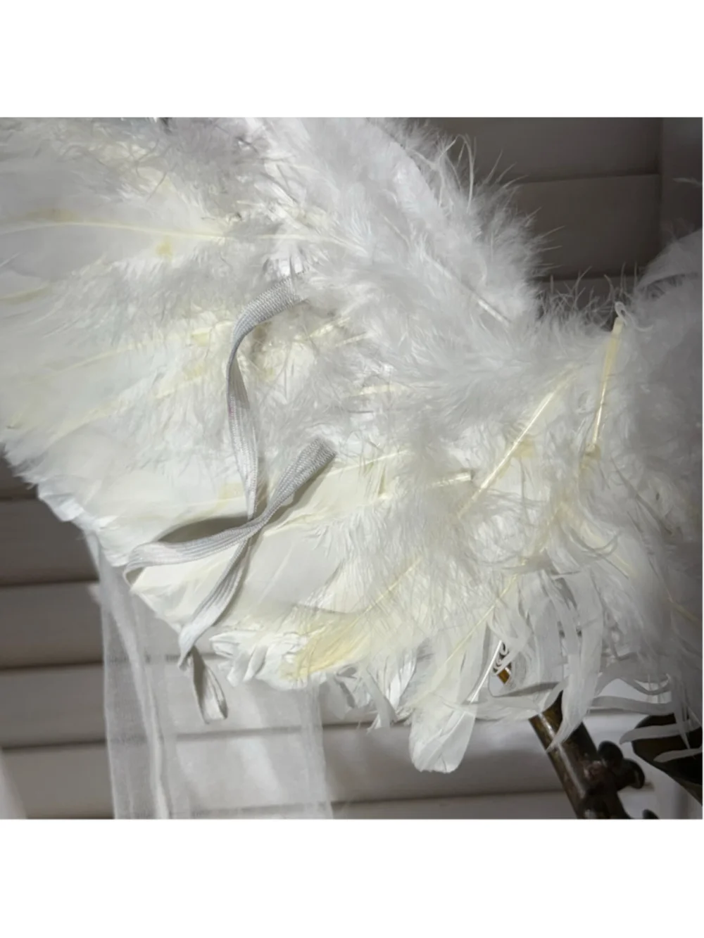Feathered angel dress & wings Halloween costume white ivory lace feathers sz M